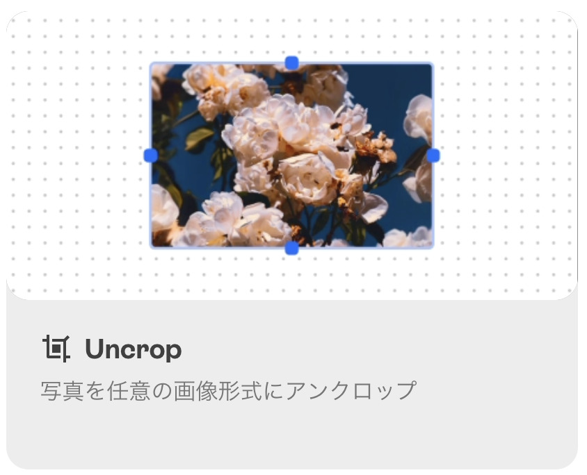 Uncrop機能で画像形式変更