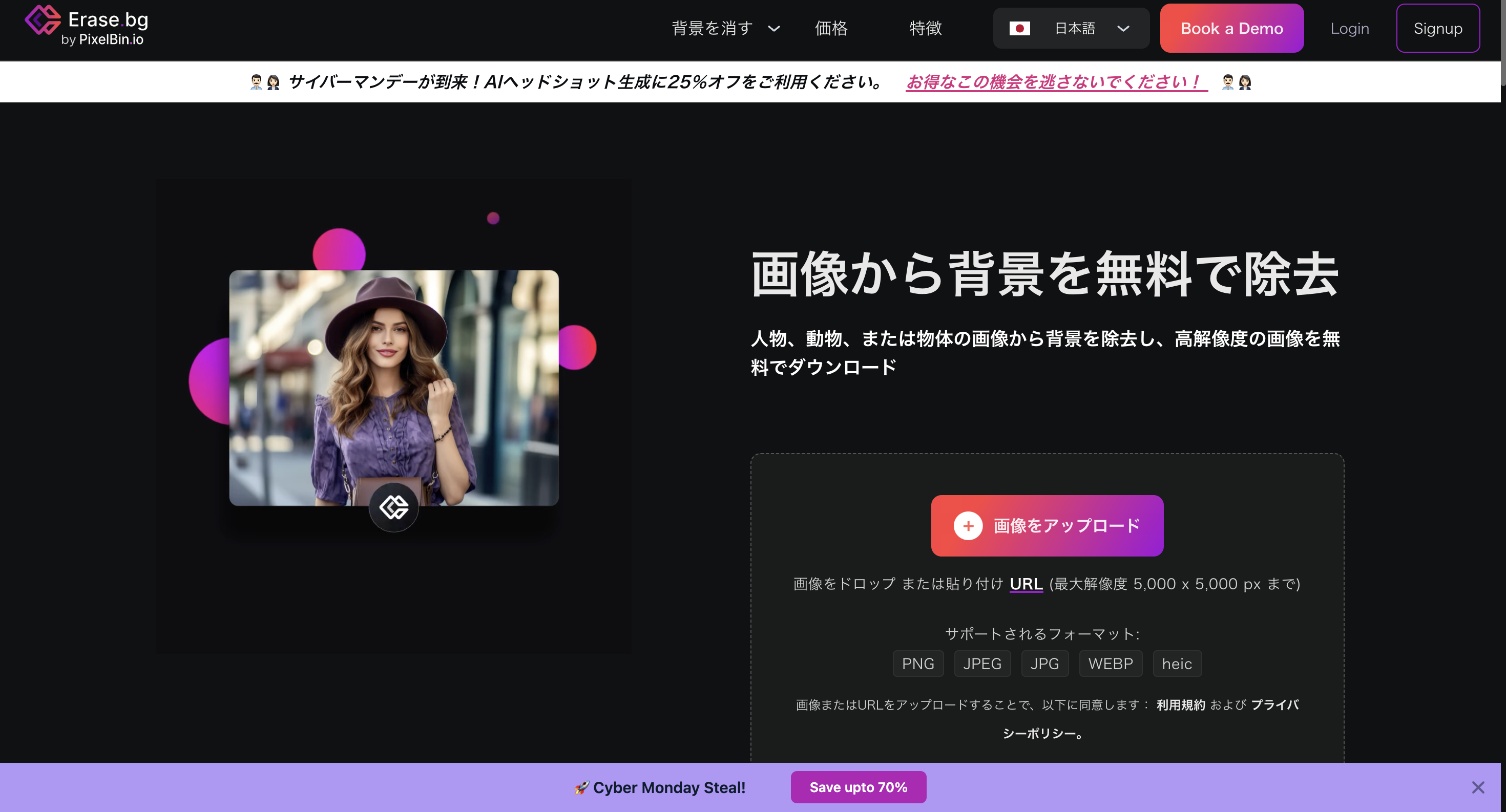公式サイトの画面